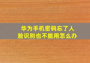 华为手机密码忘了人脸识别也不能用怎么办