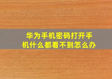 华为手机密码打开手机什么都看不到怎么办