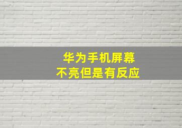 华为手机屏幕不亮但是有反应