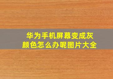 华为手机屏幕变成灰颜色怎么办呢图片大全