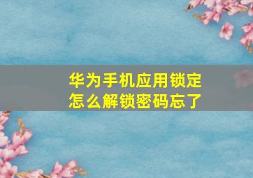 华为手机应用锁定怎么解锁密码忘了