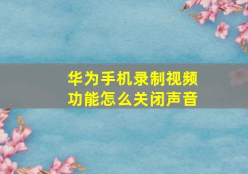 华为手机录制视频功能怎么关闭声音