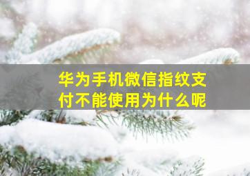 华为手机微信指纹支付不能使用为什么呢