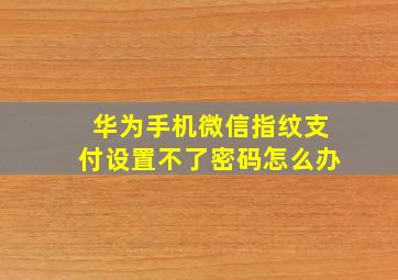 华为手机微信指纹支付设置不了密码怎么办