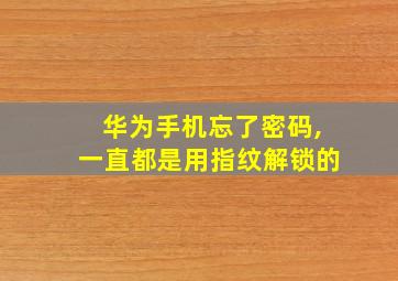 华为手机忘了密码,一直都是用指纹解锁的