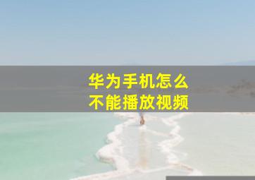 华为手机怎么不能播放视频