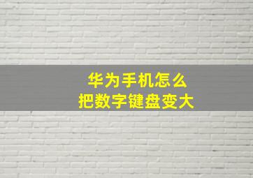 华为手机怎么把数字键盘变大