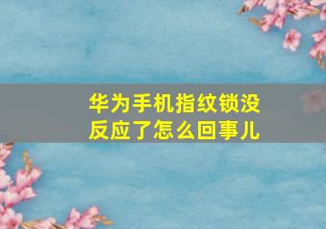 华为手机指纹锁没反应了怎么回事儿