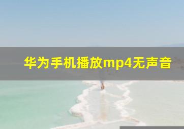 华为手机播放mp4无声音