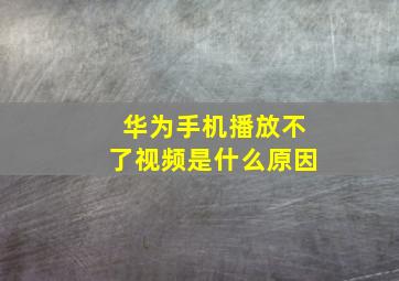 华为手机播放不了视频是什么原因