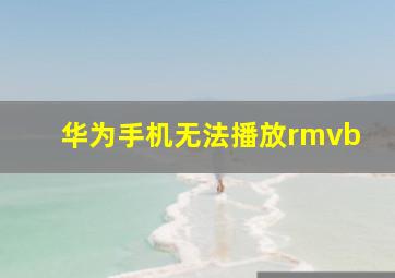 华为手机无法播放rmvb