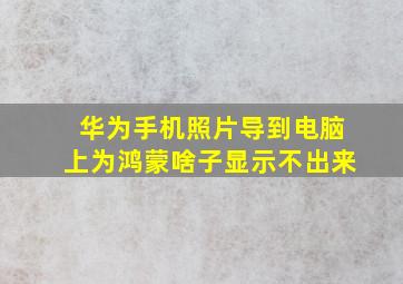 华为手机照片导到电脑上为鸿蒙啥子显示不出来