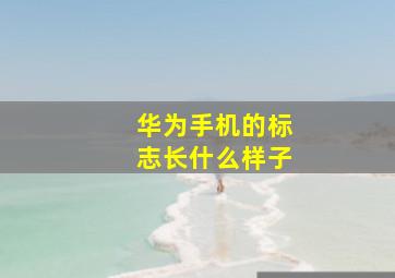 华为手机的标志长什么样子