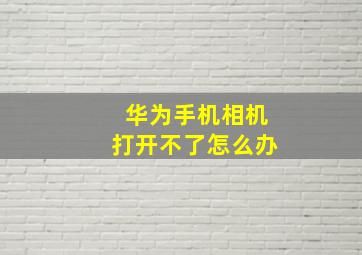 华为手机相机打开不了怎么办