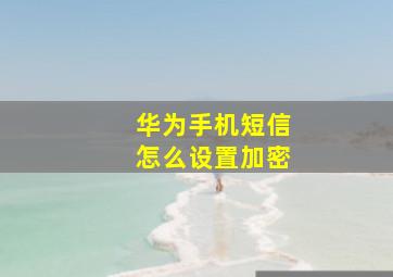 华为手机短信怎么设置加密