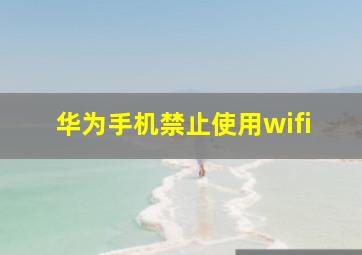 华为手机禁止使用wifi