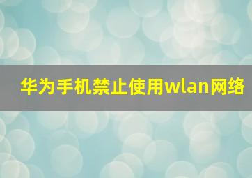 华为手机禁止使用wlan网络