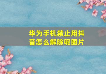 华为手机禁止用抖音怎么解除呢图片