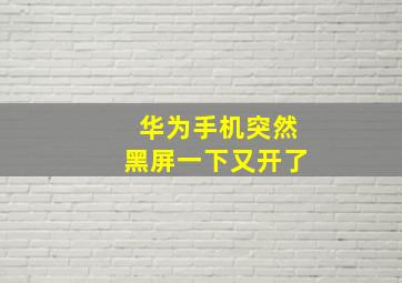 华为手机突然黑屏一下又开了