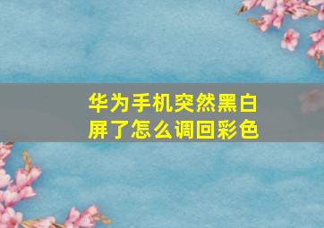 华为手机突然黑白屏了怎么调回彩色