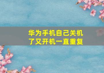 华为手机自己关机了又开机一直重复