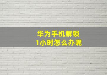 华为手机解锁1小时怎么办呢