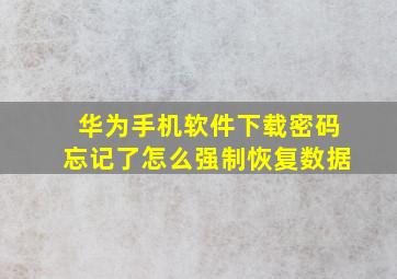 华为手机软件下载密码忘记了怎么强制恢复数据