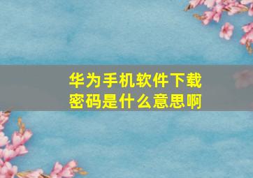 华为手机软件下载密码是什么意思啊