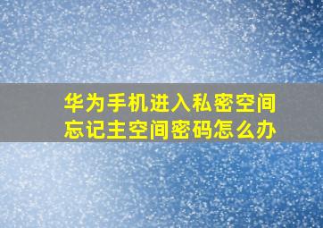 华为手机进入私密空间忘记主空间密码怎么办