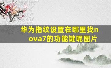 华为指纹设置在哪里找nova7的功能键呢图片