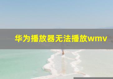 华为播放器无法播放wmv