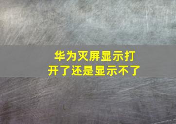 华为灭屏显示打开了还是显示不了