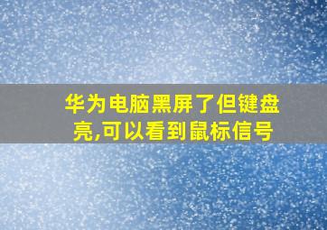 华为电脑黑屏了但键盘亮,可以看到鼠标信号