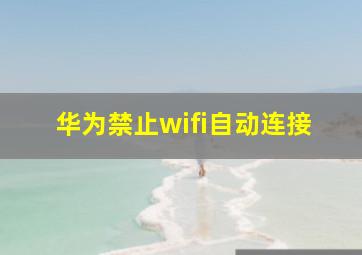 华为禁止wifi自动连接