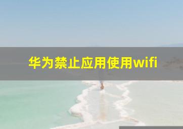 华为禁止应用使用wifi