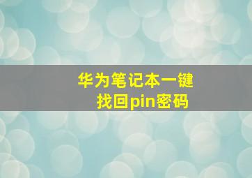 华为笔记本一键找回pin密码