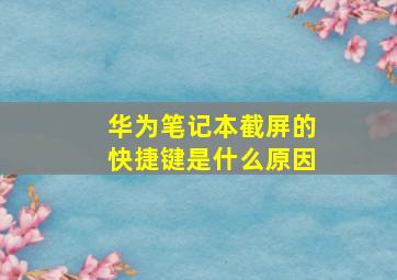 华为笔记本截屏的快捷键是什么原因