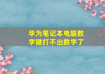 华为笔记本电脑数字键打不出数字了