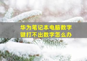 华为笔记本电脑数字键打不出数字怎么办