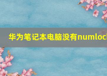 华为笔记本电脑没有numlock