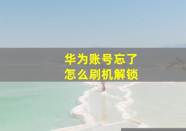 华为账号忘了怎么刷机解锁