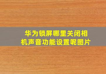 华为锁屏哪里关闭相机声音功能设置呢图片