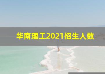 华南理工2021招生人数