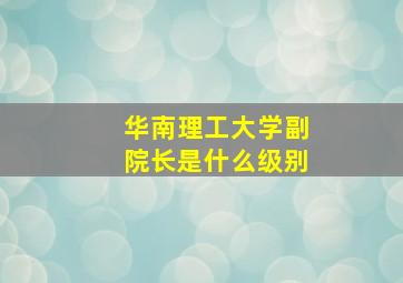 华南理工大学副院长是什么级别