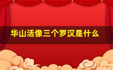 华山活像三个罗汉是什么