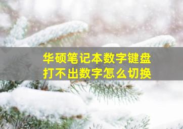 华硕笔记本数字键盘打不出数字怎么切换