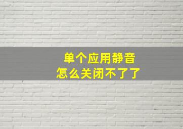 单个应用静音怎么关闭不了了