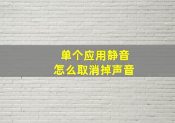 单个应用静音怎么取消掉声音