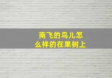 南飞的鸟儿怎么样的在果树上