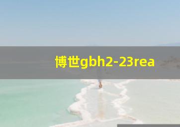 博世gbh2-23rea